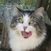 zeke%2Btongue%2B100_1292