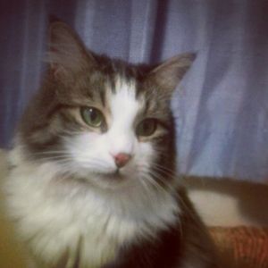 2013-08-17_Zeke Portrait no meta