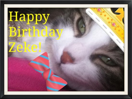 ZekeHappyBirthday08-2014copy1-550