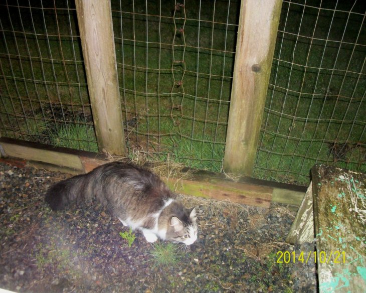 The rain is falling on my back!