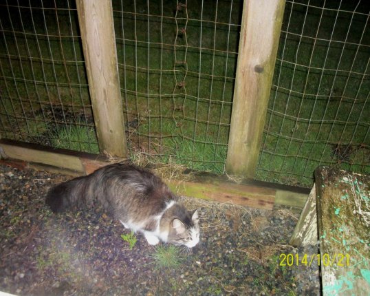 The rain is falling on my back!