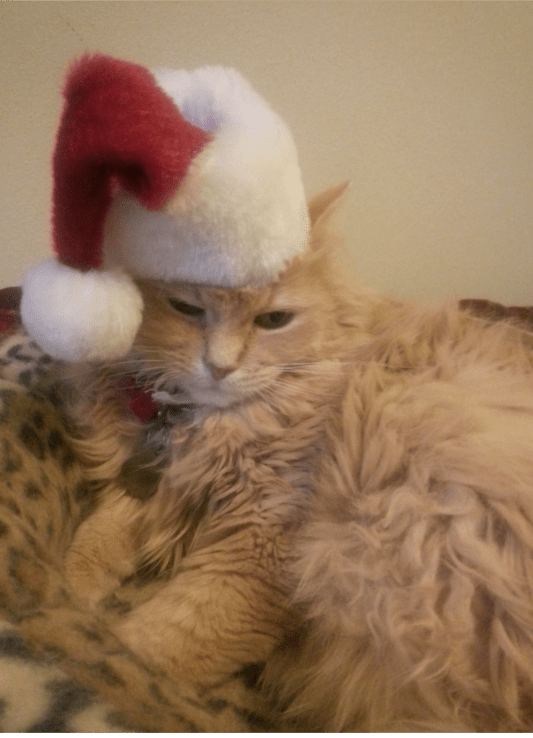 Marigold elf 2014 550w