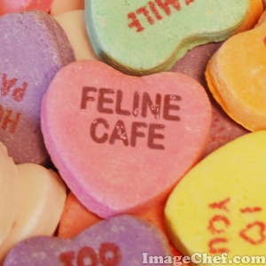 Feline cafe sweeties