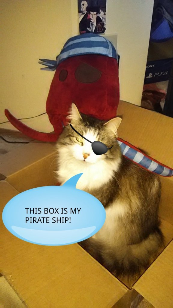This box is my pirate ship!