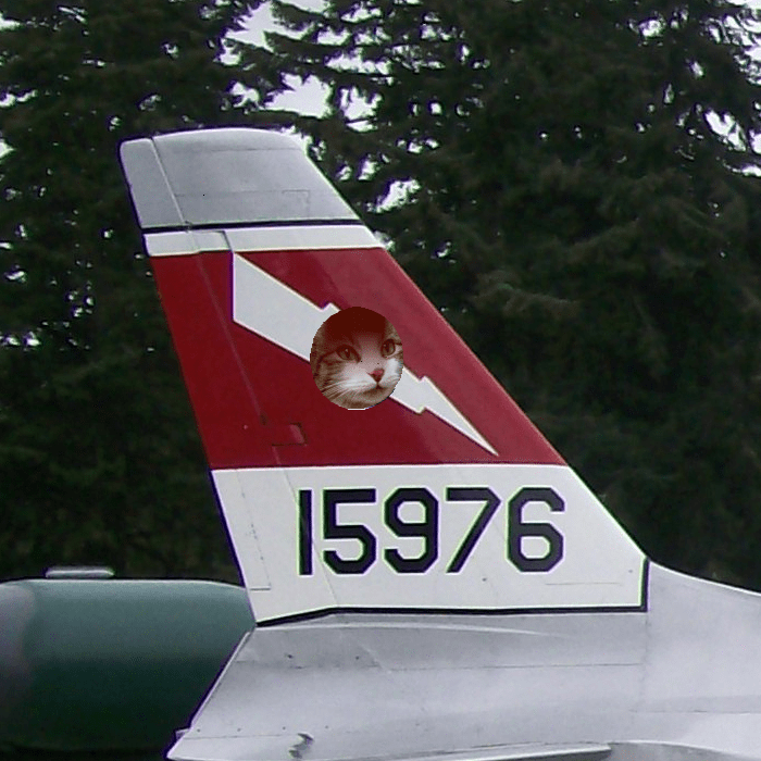 Zeke on jet tail