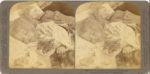 stereoview
