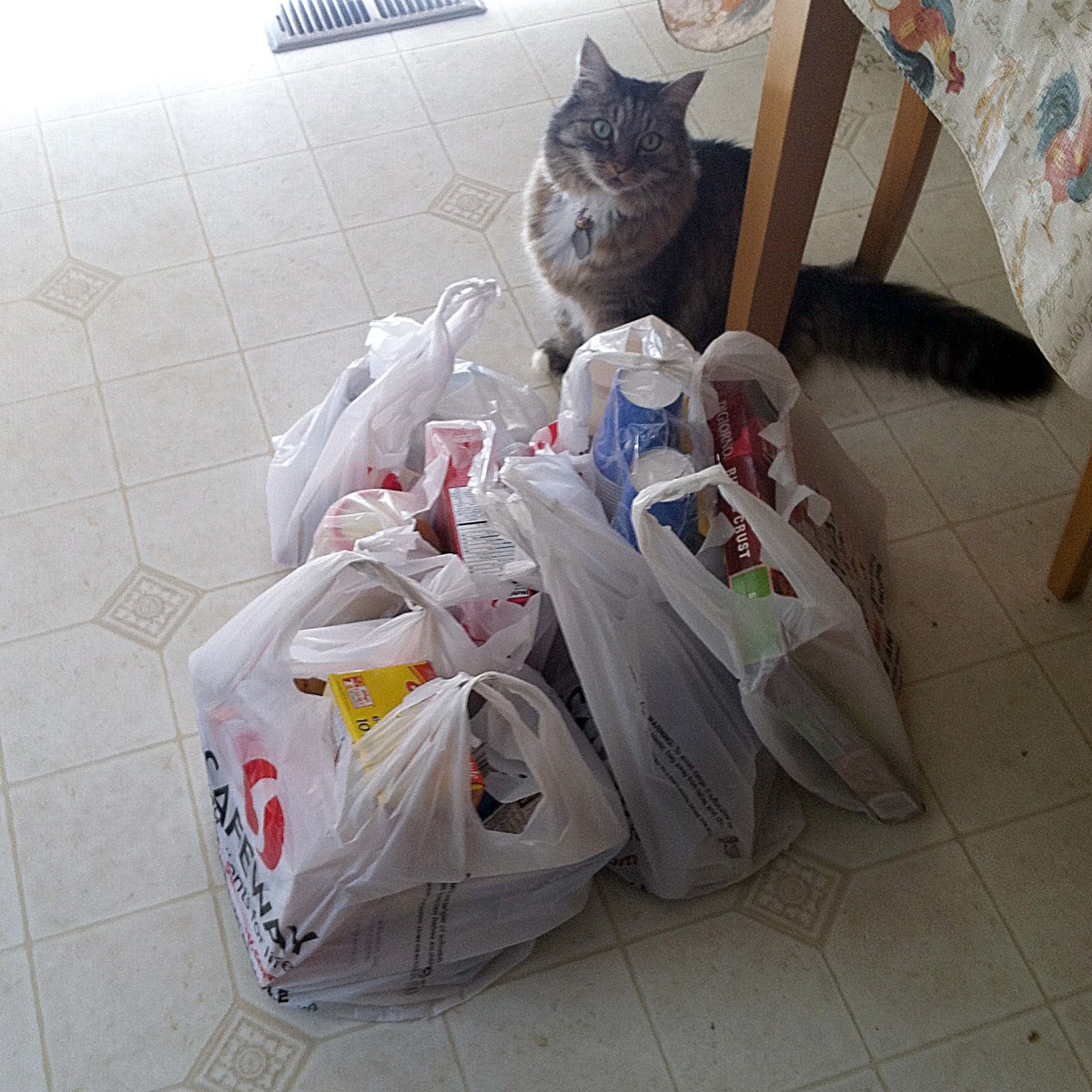 Opie and shopping bags
