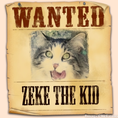 Zeke wanted