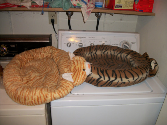 cat beds and washing machine
