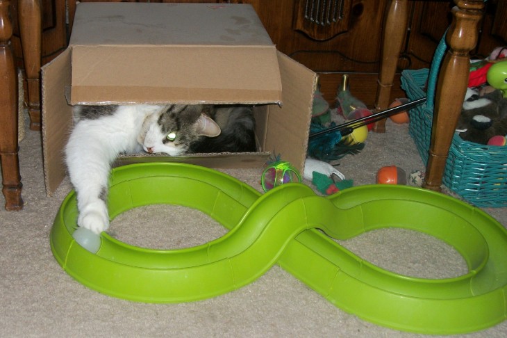 cat and turbo track