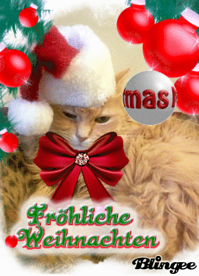 Marigold cat Christmas card
