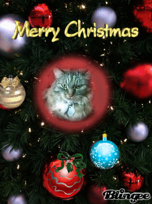 Opie Christmas Card