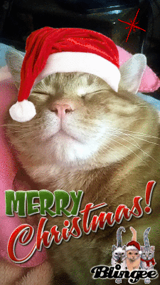 Scooby Christmas Card