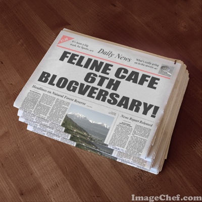 blogversary newspaper headline