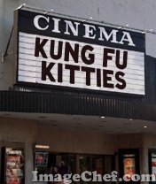 kung fu kitties marquis