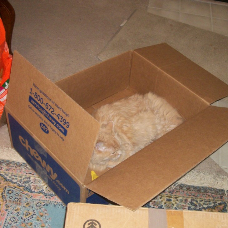 Marigold chewy box