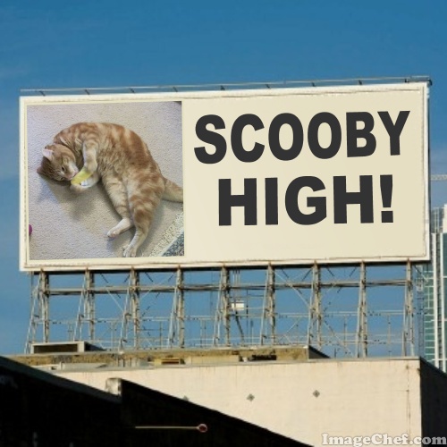 Scooby Billboard