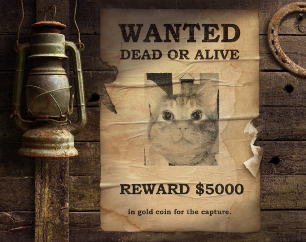Scooby wanted poster with lantern
