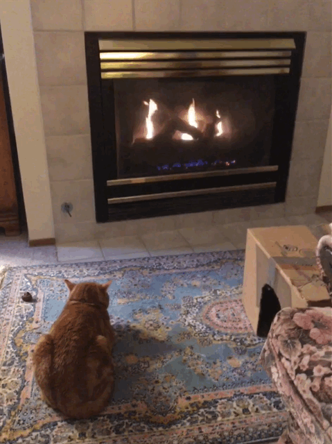 scooby fireplace