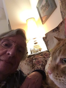 Greg Scooby cat selfie