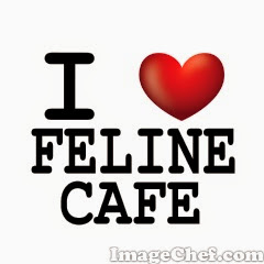 I love feline cafe