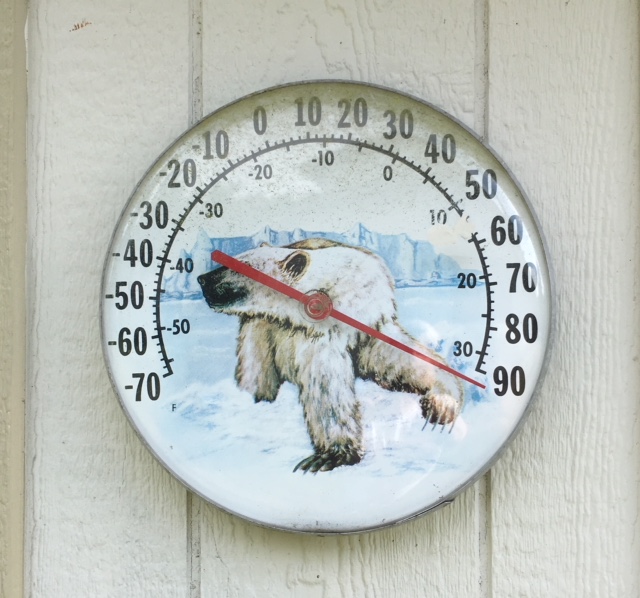 Polar Bear Thermometer