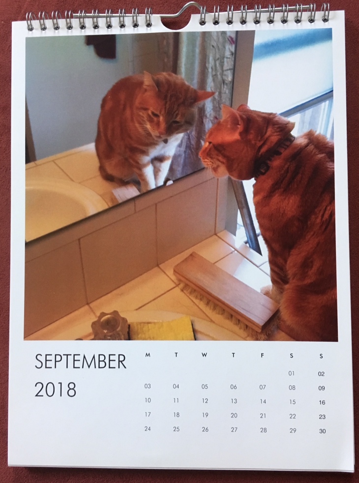 Scooby October calendar