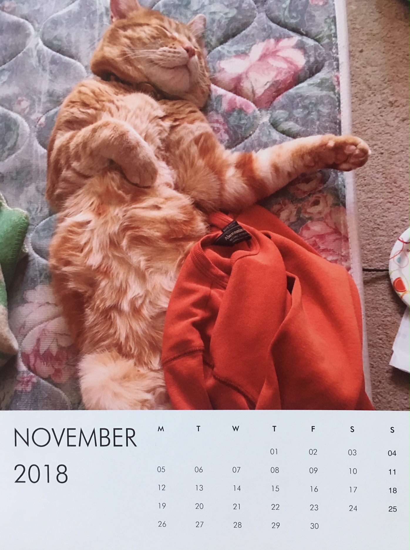 scooby calendar