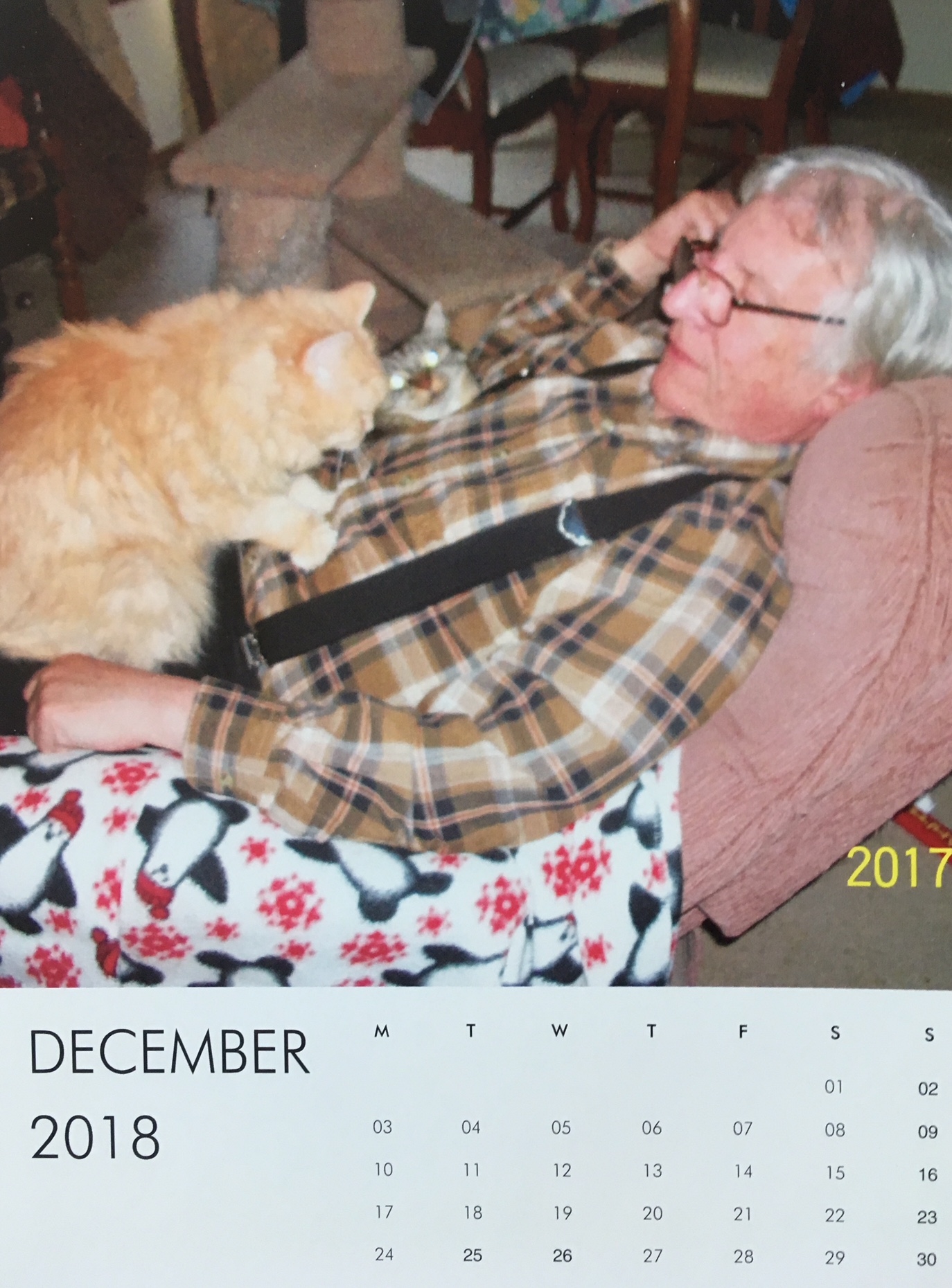 Marigold cat calendar