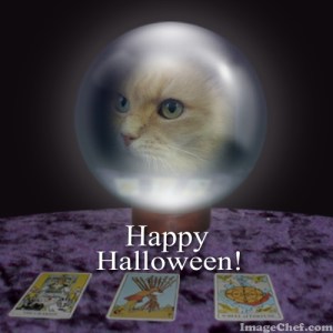 Marigold crystal ball