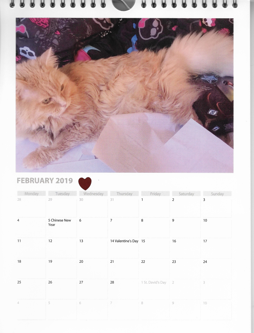 February Marigold Calendar