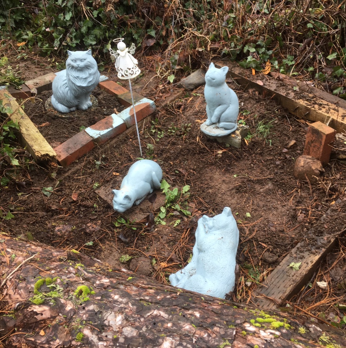 cat cemetery
