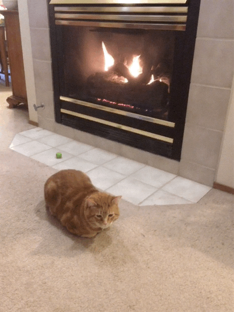 Scooby by fireplace animated GIF