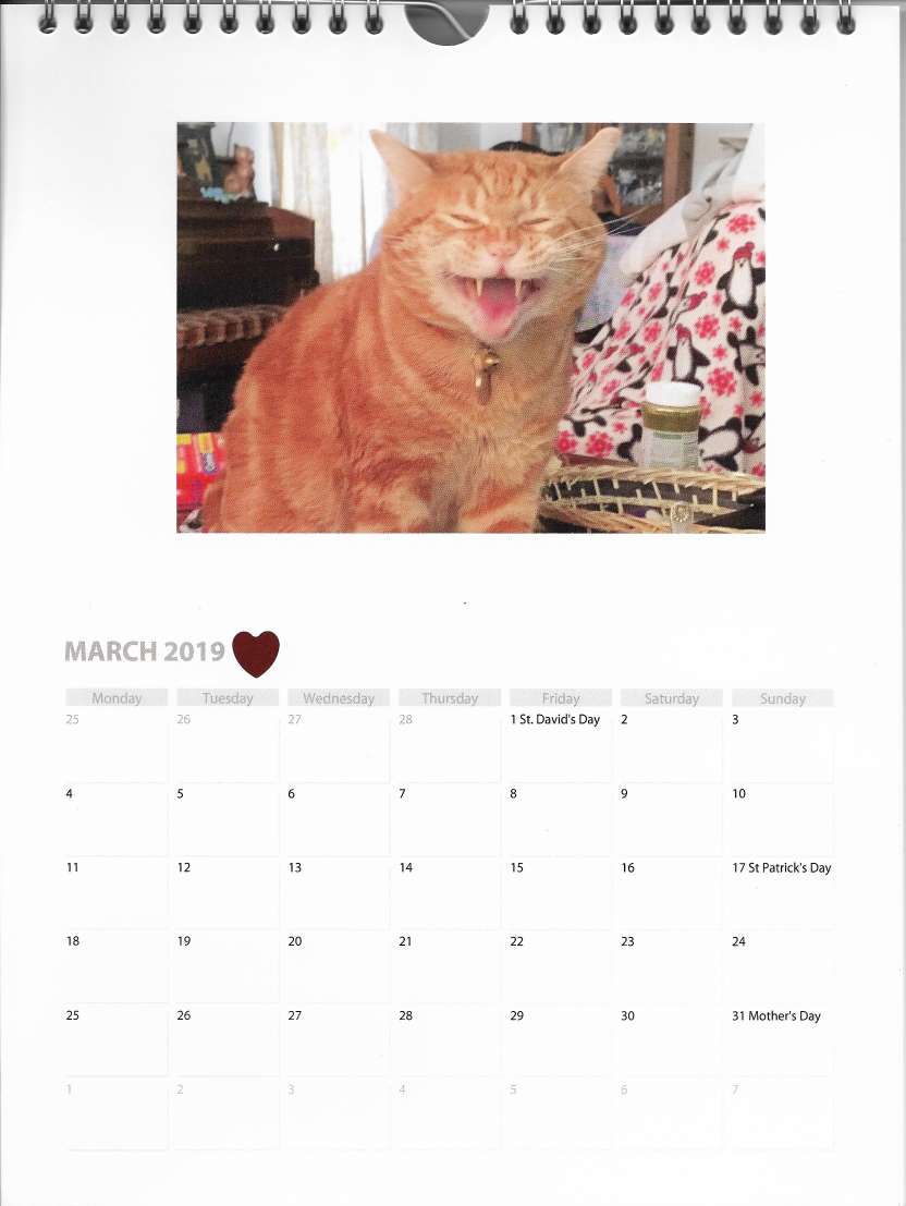 Scooby March Calendar