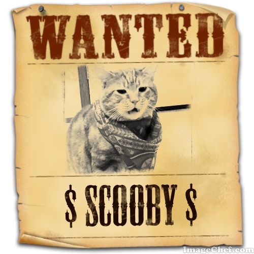 Scooby wanted poster