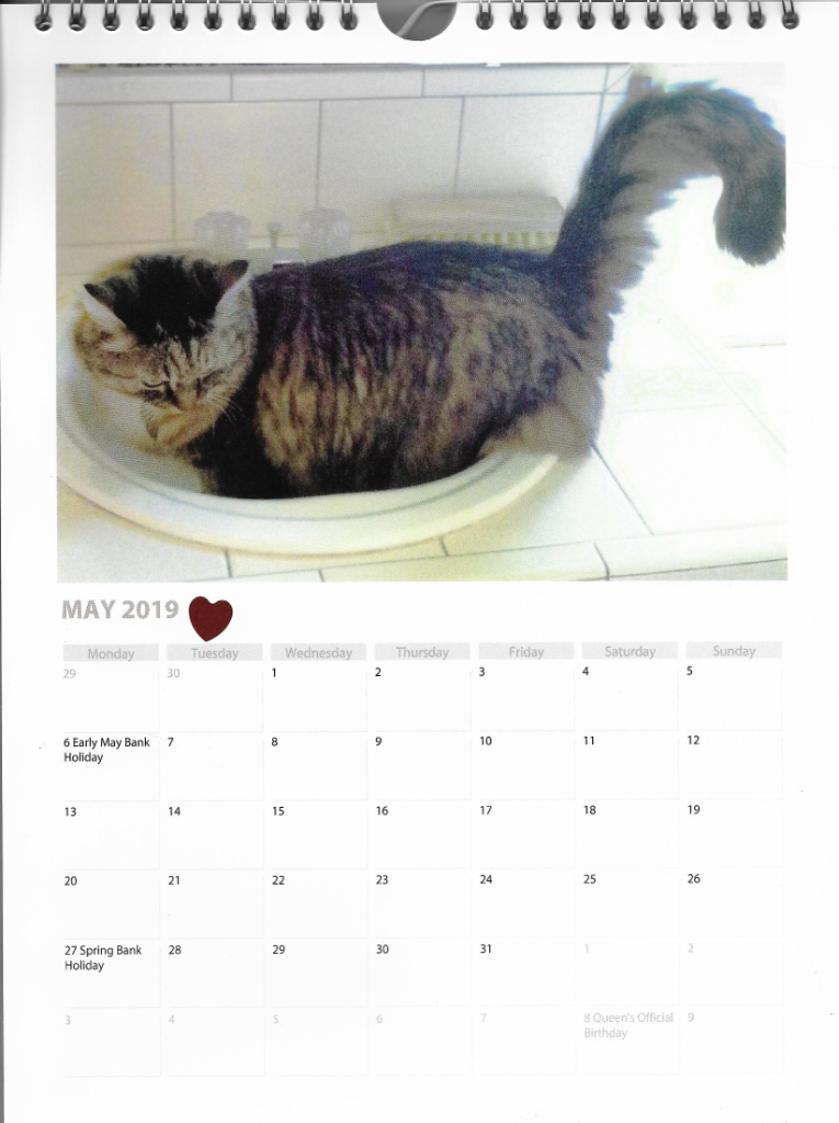 May 2019 Calendar cat Opie