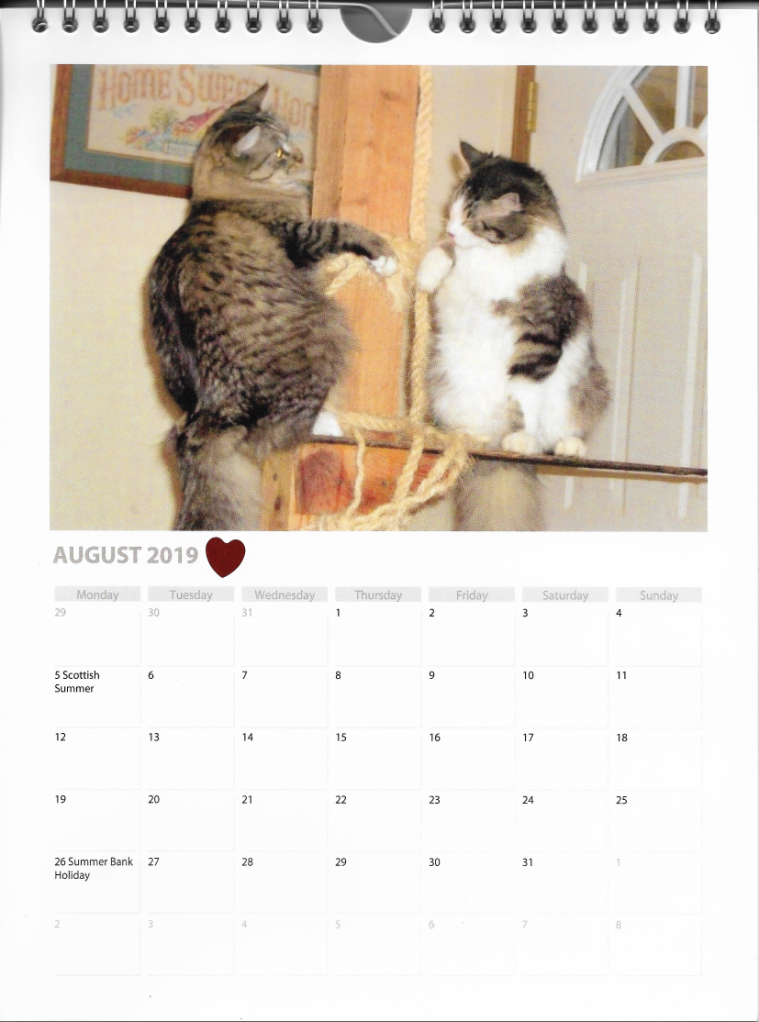 Opie Zeke Calendar Cats August