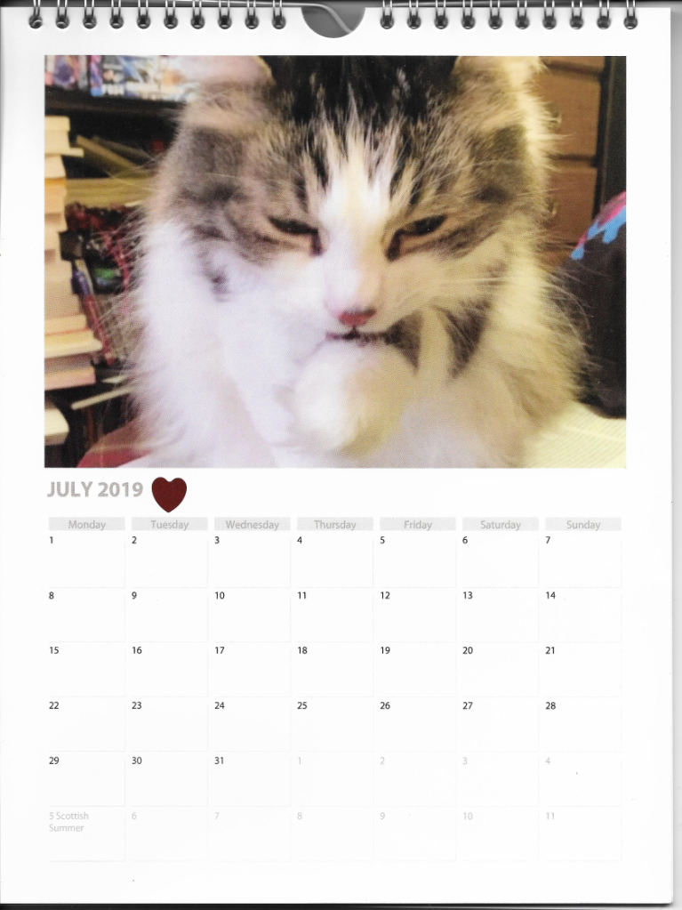 Cat Calendar July