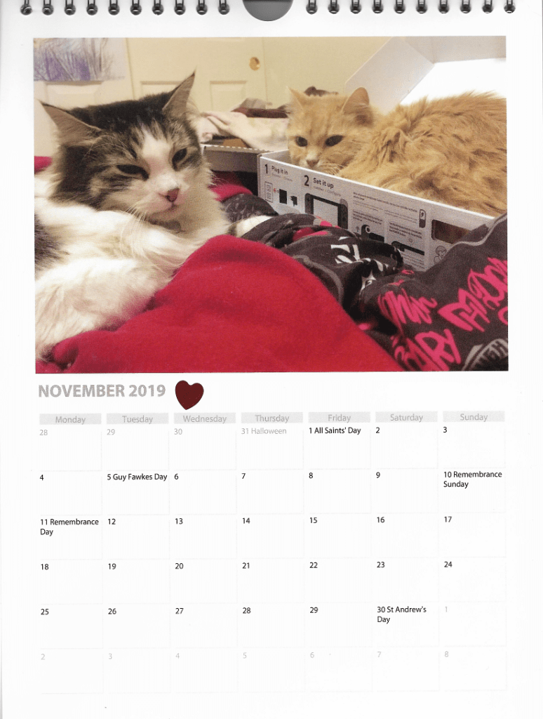 Zeke Marigold November 2019 Calendar