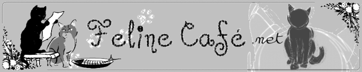 feline cafe dot net grey header