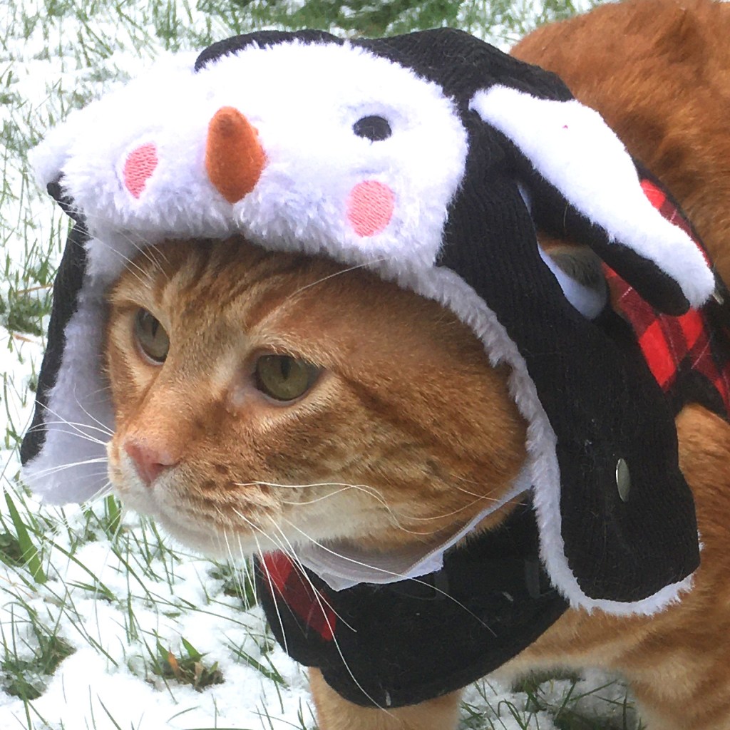 Scooby wearing penguin hat portrait