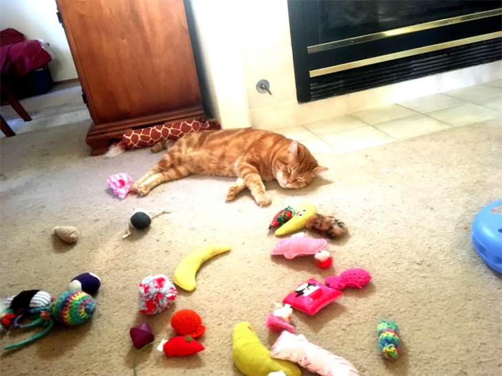 Scooby sleeping toys