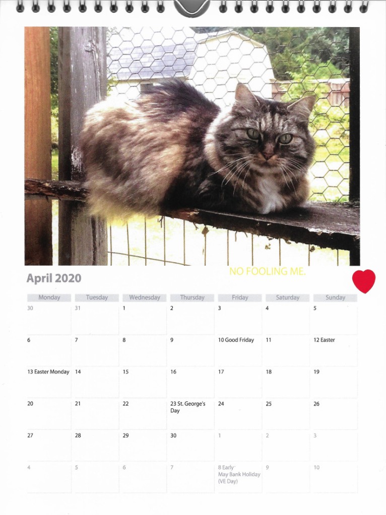 Opie in catio April calendar