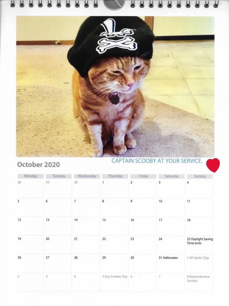 October calendar Scooby pirate