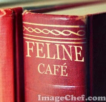 feline cafe book