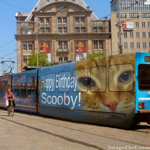 Scooby on trolley side happy birthday