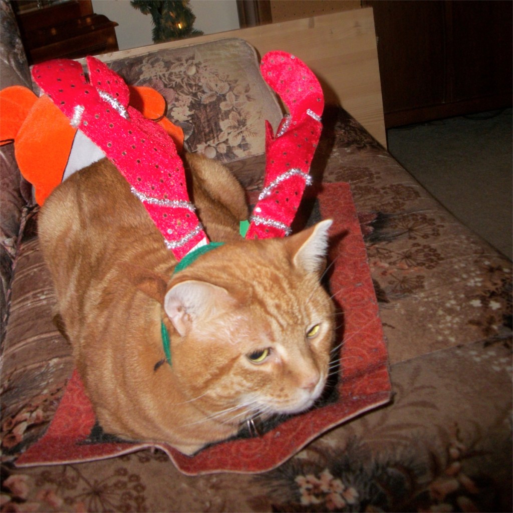 Scooby reindeer antlers