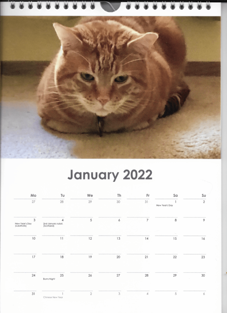 Scooby on calendar