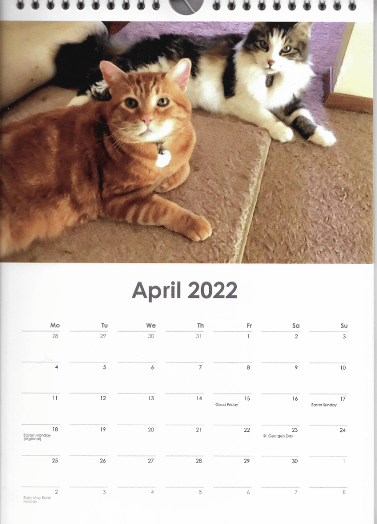 April 2022 calendar cats