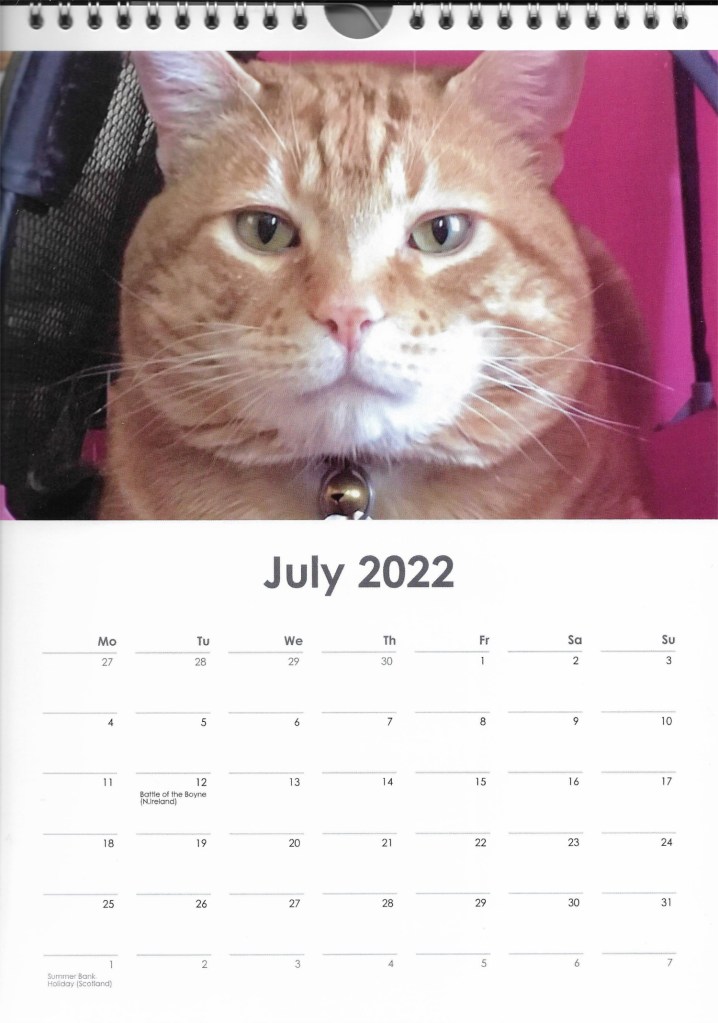 Scooby July calendar cat